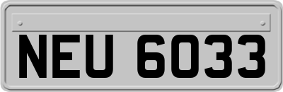 NEU6033