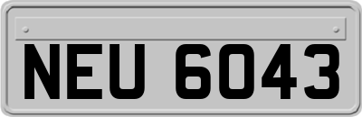 NEU6043