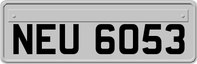 NEU6053