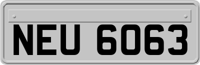 NEU6063