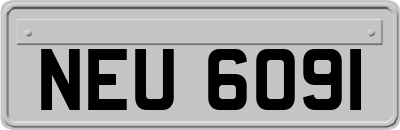 NEU6091