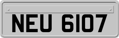 NEU6107