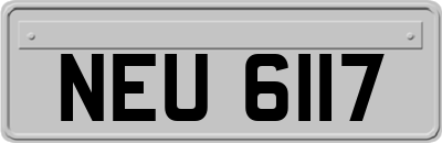 NEU6117