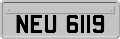 NEU6119