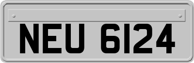 NEU6124