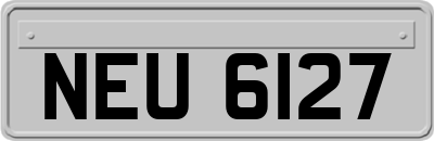 NEU6127