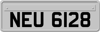 NEU6128