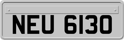 NEU6130