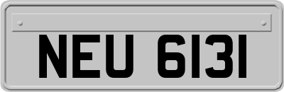 NEU6131