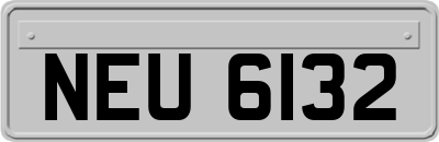 NEU6132