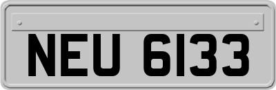 NEU6133