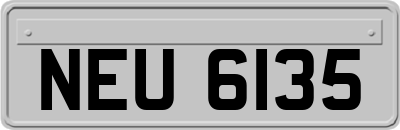 NEU6135