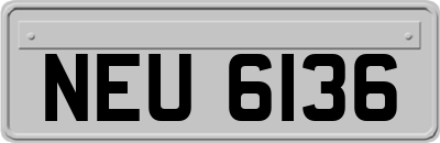 NEU6136