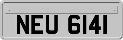 NEU6141