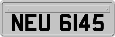 NEU6145