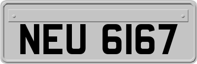 NEU6167