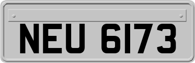 NEU6173