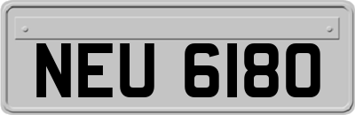 NEU6180