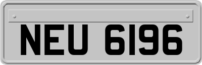 NEU6196