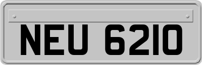 NEU6210