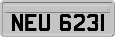 NEU6231