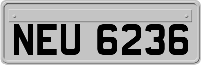 NEU6236