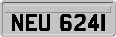 NEU6241