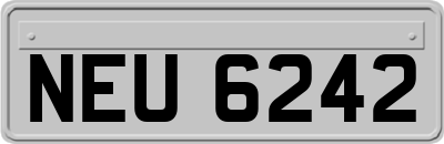 NEU6242