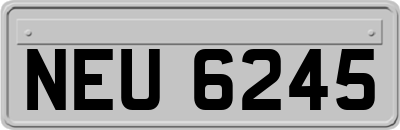 NEU6245