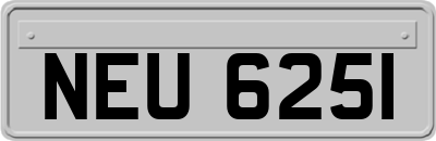 NEU6251