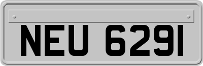 NEU6291