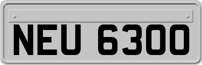 NEU6300