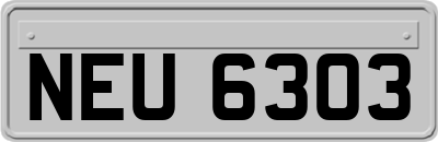 NEU6303