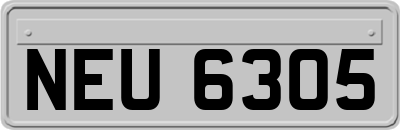 NEU6305