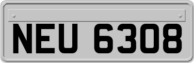 NEU6308