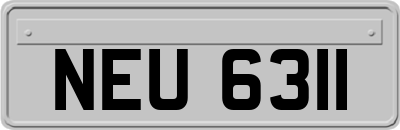 NEU6311