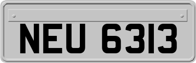 NEU6313