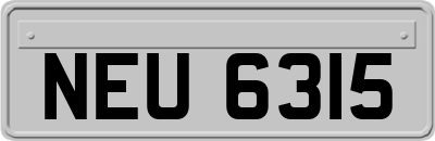 NEU6315