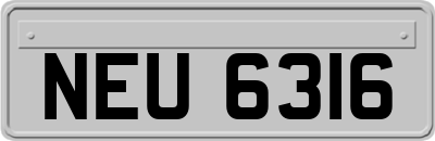 NEU6316