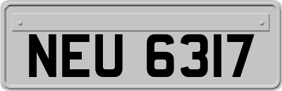 NEU6317