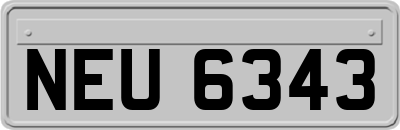 NEU6343