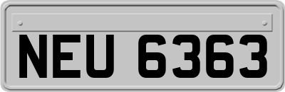 NEU6363