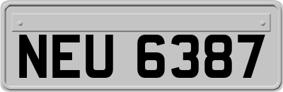 NEU6387