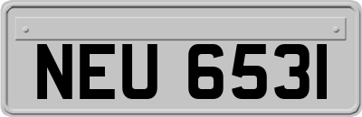 NEU6531