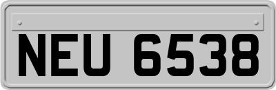 NEU6538