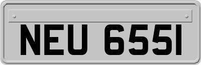 NEU6551