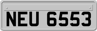 NEU6553