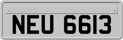 NEU6613