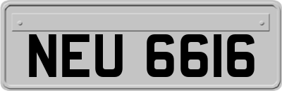 NEU6616