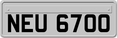 NEU6700